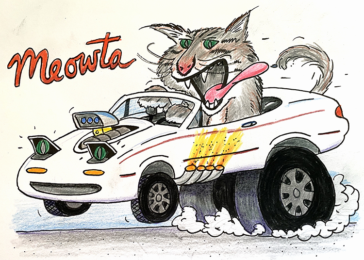 cat in miata