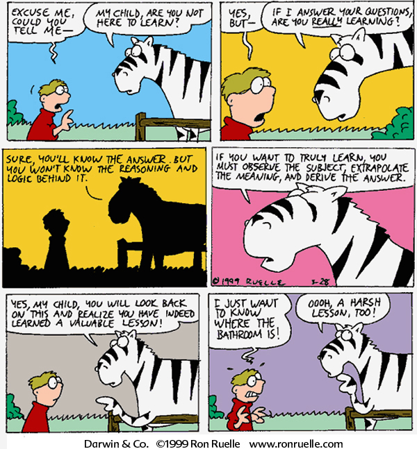 harsh lesson comic cartoon