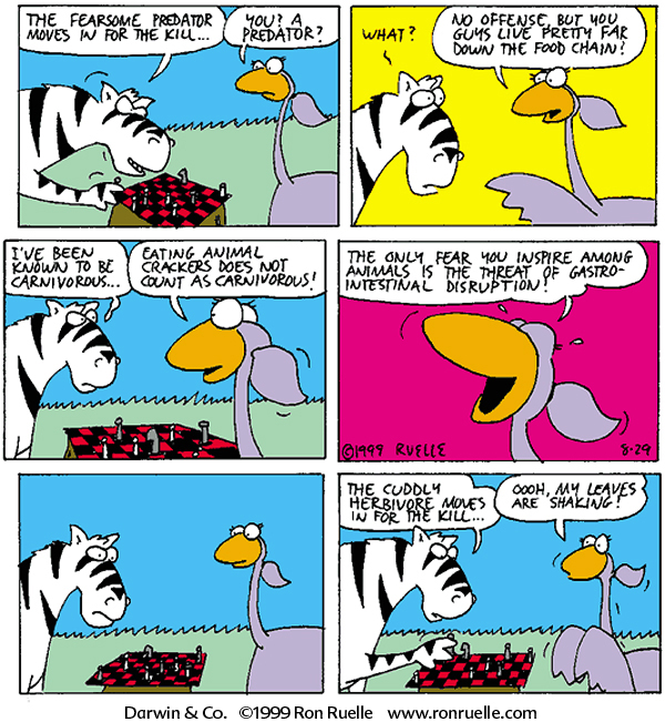 zebra ostrich comic cartoon