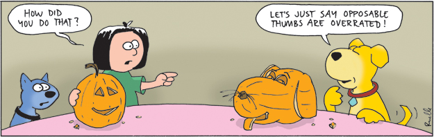 pumpkin carving comic cartoon
