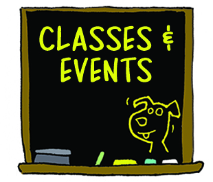 Ron Ruelle classes events
